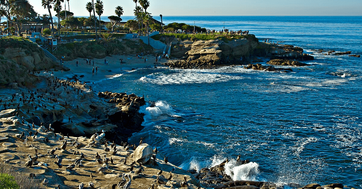 <figcaption class="wp-element-caption">La Jolla Cove, San Diego, USA. <em>Image credit: Wikimedia</em></figcaption>