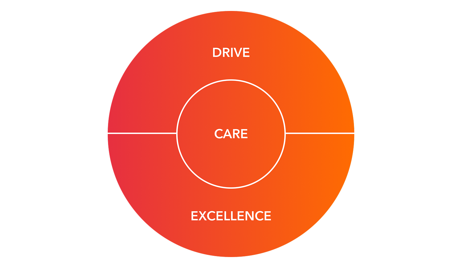 Company values