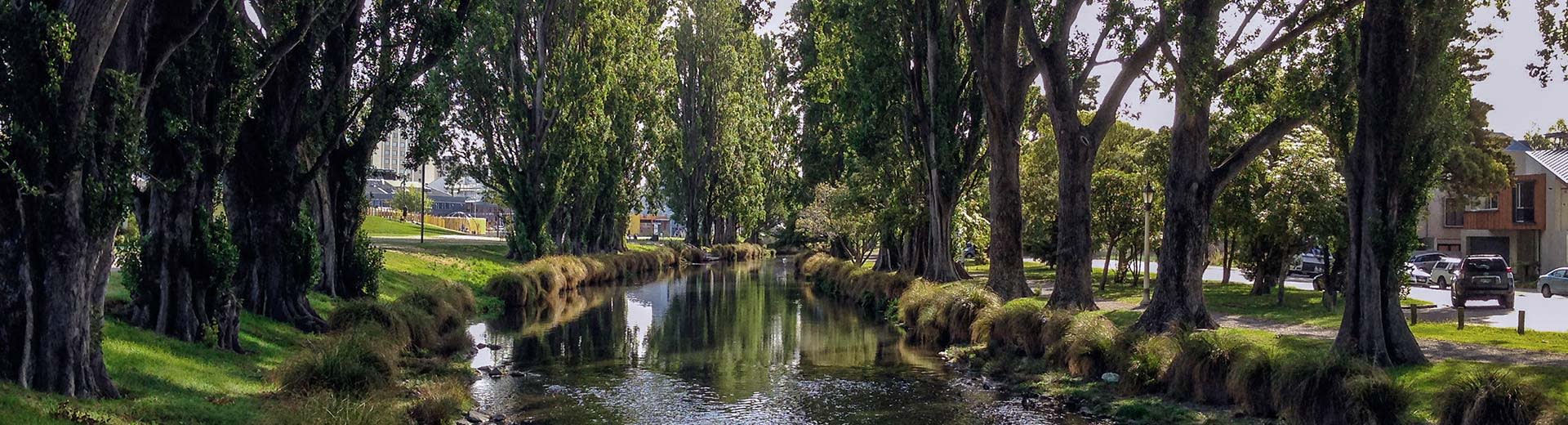 Ein idyllischer Kanal, der von Bäumen in Christchurch umgeben ist.