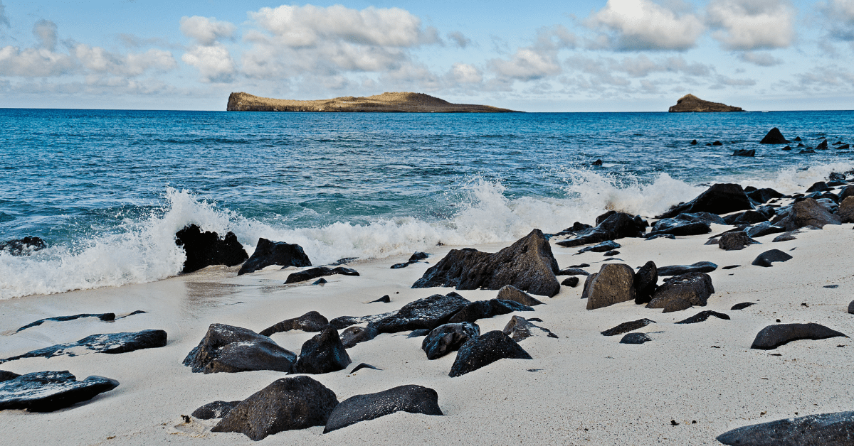 <figcaption class="wp-element-caption">Rocky shores of the Galapagos Islands.&nbsp;<em>Image credit: Max Ruckman/Flickr</em></figcaption>