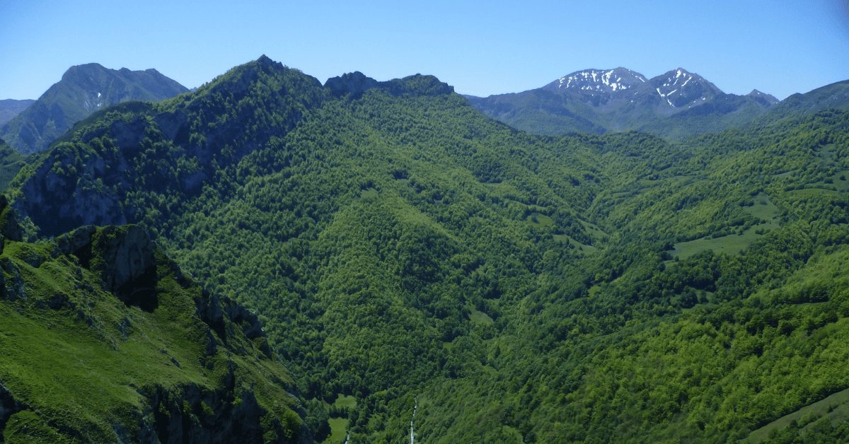 <figcaption class="wp-element-caption">Ponga, Asturias, Spain. <em>Image credit: Wikimedia</em></figcaption>