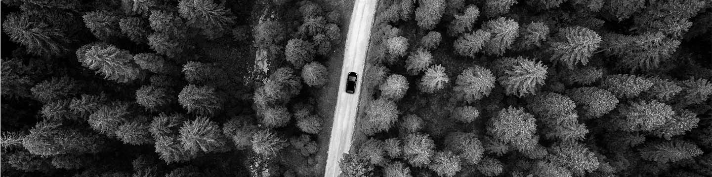 Car driving through forest, header dimensions