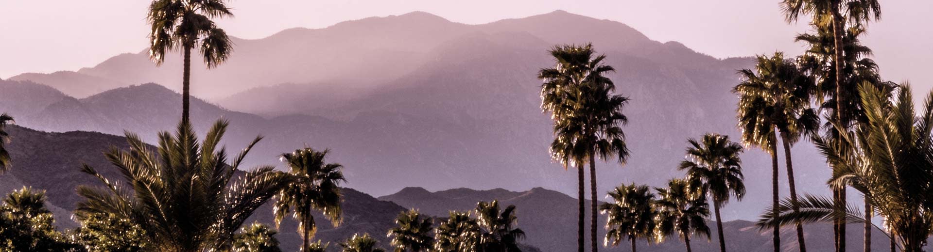 Hügel im Hintergrund, während Palmstrees den Vordergrund an einem klaren und heißen Tag in Palm Springs dominieren.