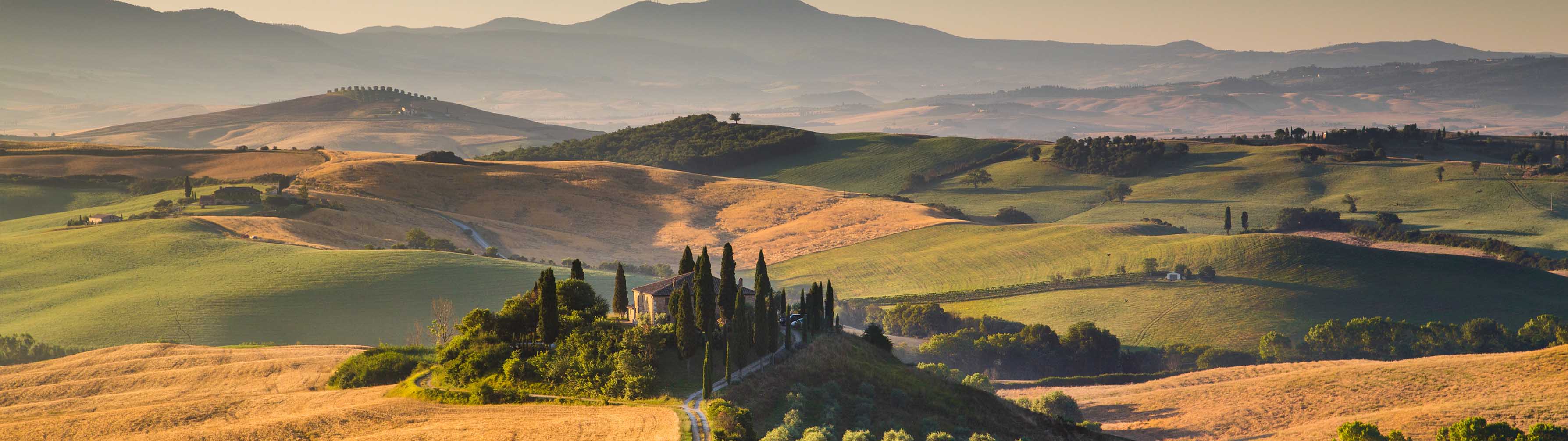 The rolling green vineyards of Tuscany at dusk or dawn light.