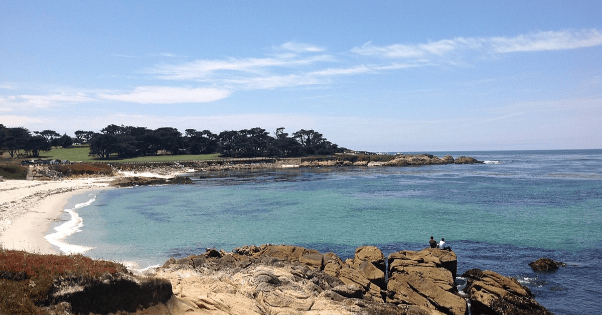 <figcaption class="wp-element-caption">Del Monte Beach, Monterey. <em>Image credit: Wikimedia</em></figcaption>