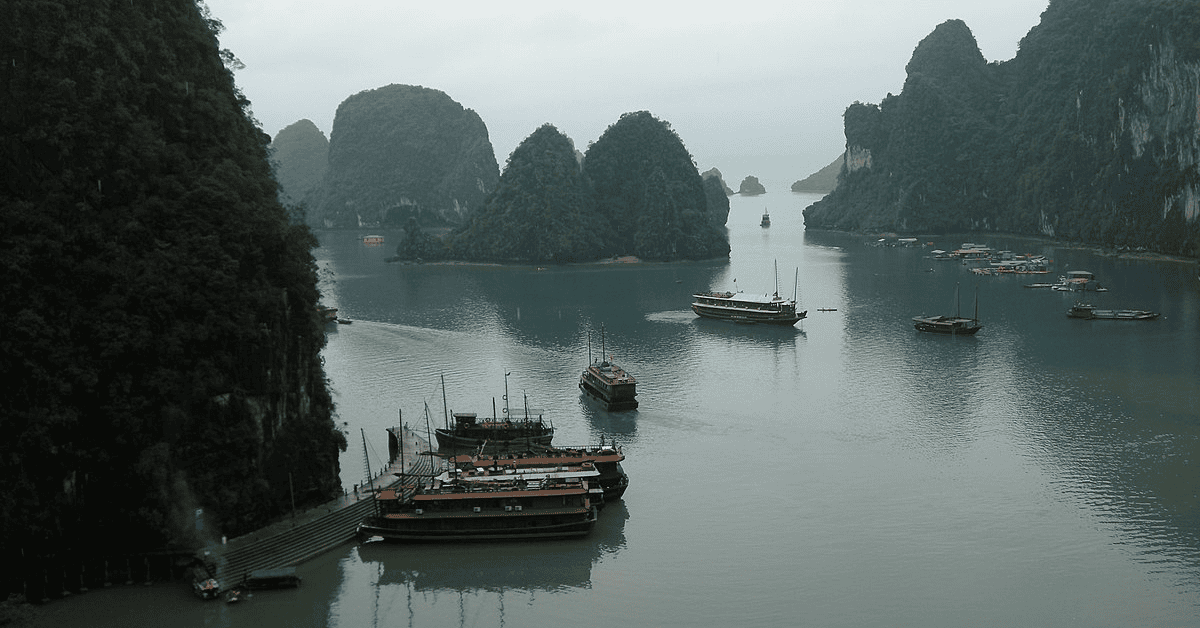 <figcaption class="wp-element-caption">Halong Bay, Vietnam. <em>Image credit: Wikimedia</em></figcaption>