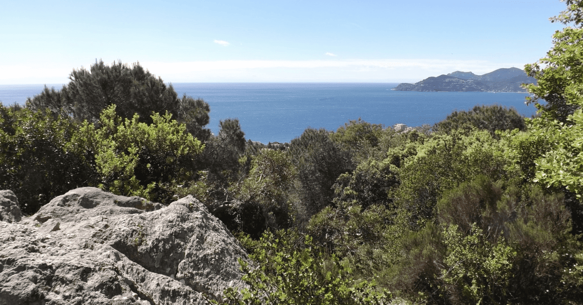 <figcaption class="wp-element-caption">La Croix-des-Gardes Nature Park is a serene green oasis in Cannes, perfect for nature lovers and outdoor enthusiasts. <em>Image credit: Wikimedia</em></figcaption>