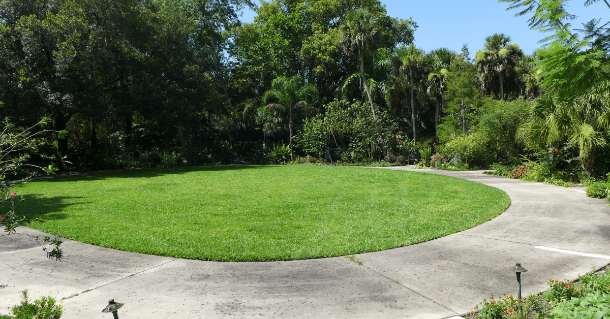 <figcaption class="wp-element-caption">Harry P. Leu Gardens, Orlando, Florida. <em>Image credit: Scott Zona/Flickr</em></figcaption>