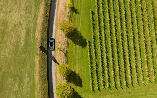 Overhead shot of a Blacklane car driving along a countryside road with a green field on one side and vines on the other.