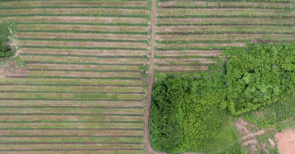 <figcaption class="wp-element-caption">Aythaya wine region, Myanmar. <em>Image credit: Wallpaperflare</em></figcaption>