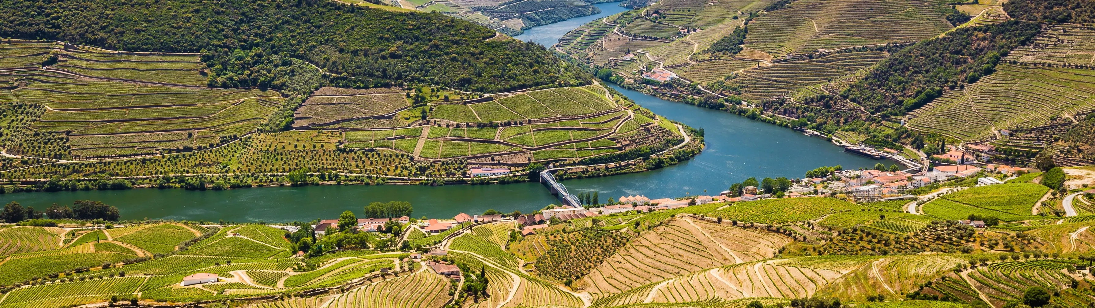 Shot of a river ben in the Douro Valley of Portugal, showing vineyards on the river slopes and a bridge.
