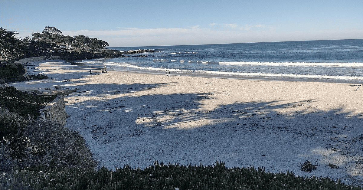 <figcaption class="wp-element-caption">Carmel Beach. <em>Image credit: Wikimedia</em></figcaption>