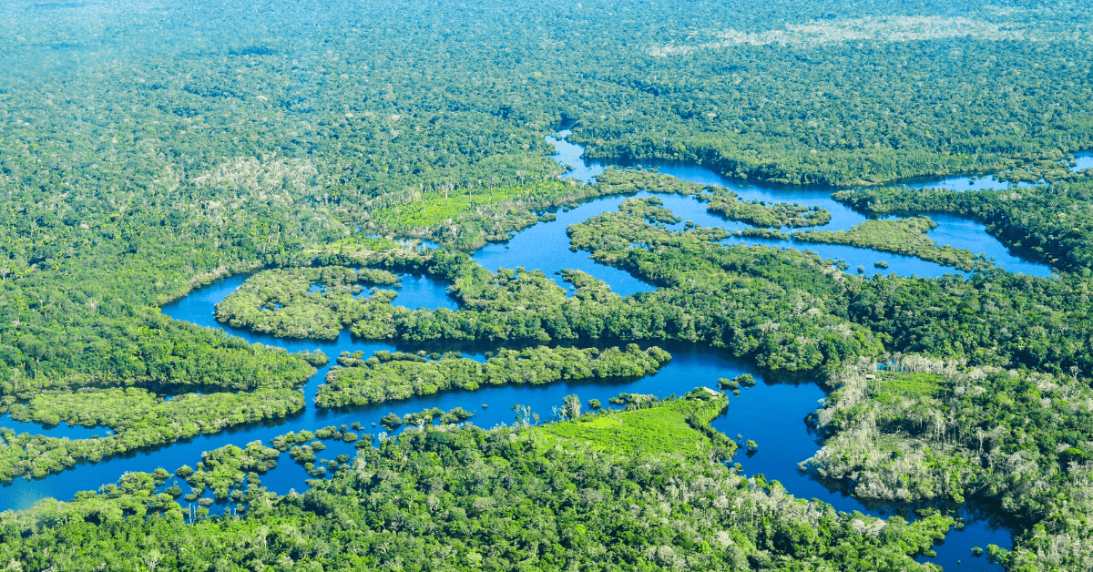 <figcaption class="wp-element-caption">Aerial view of the Amazon rainforest, Brazil.&nbsp;<em>Image credit: CIFOR/Flickr</em></figcaption>