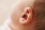 Les oreilles d'un nouveau né
