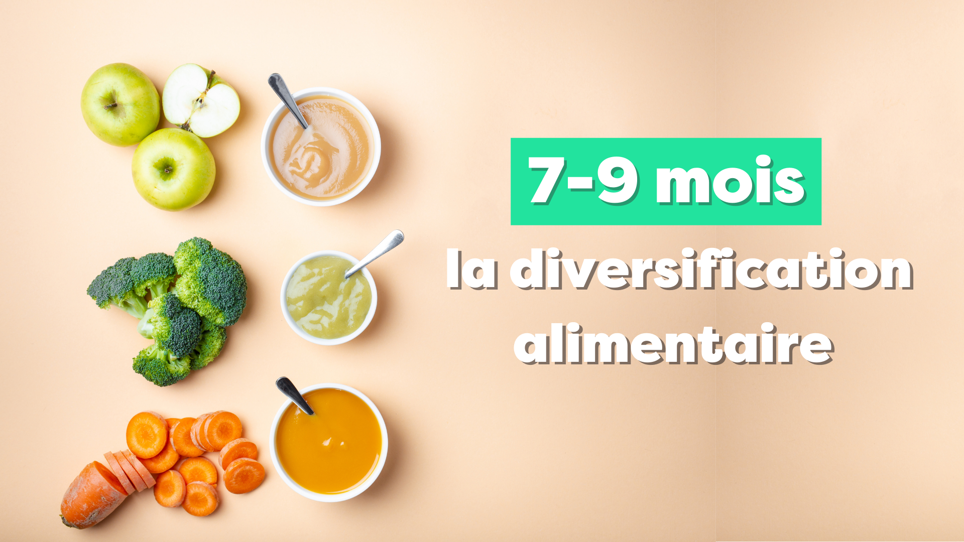 La Diversification Entre 7 Et 9 Mois Alan Blog