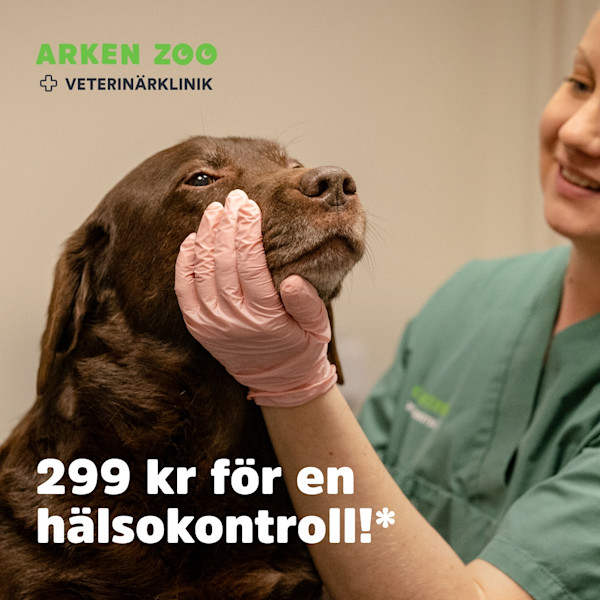 Häsokontroll 299kr