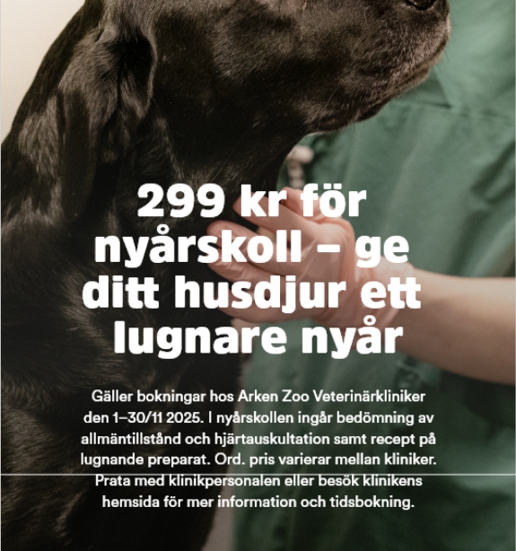 nyarskoll-299kr
