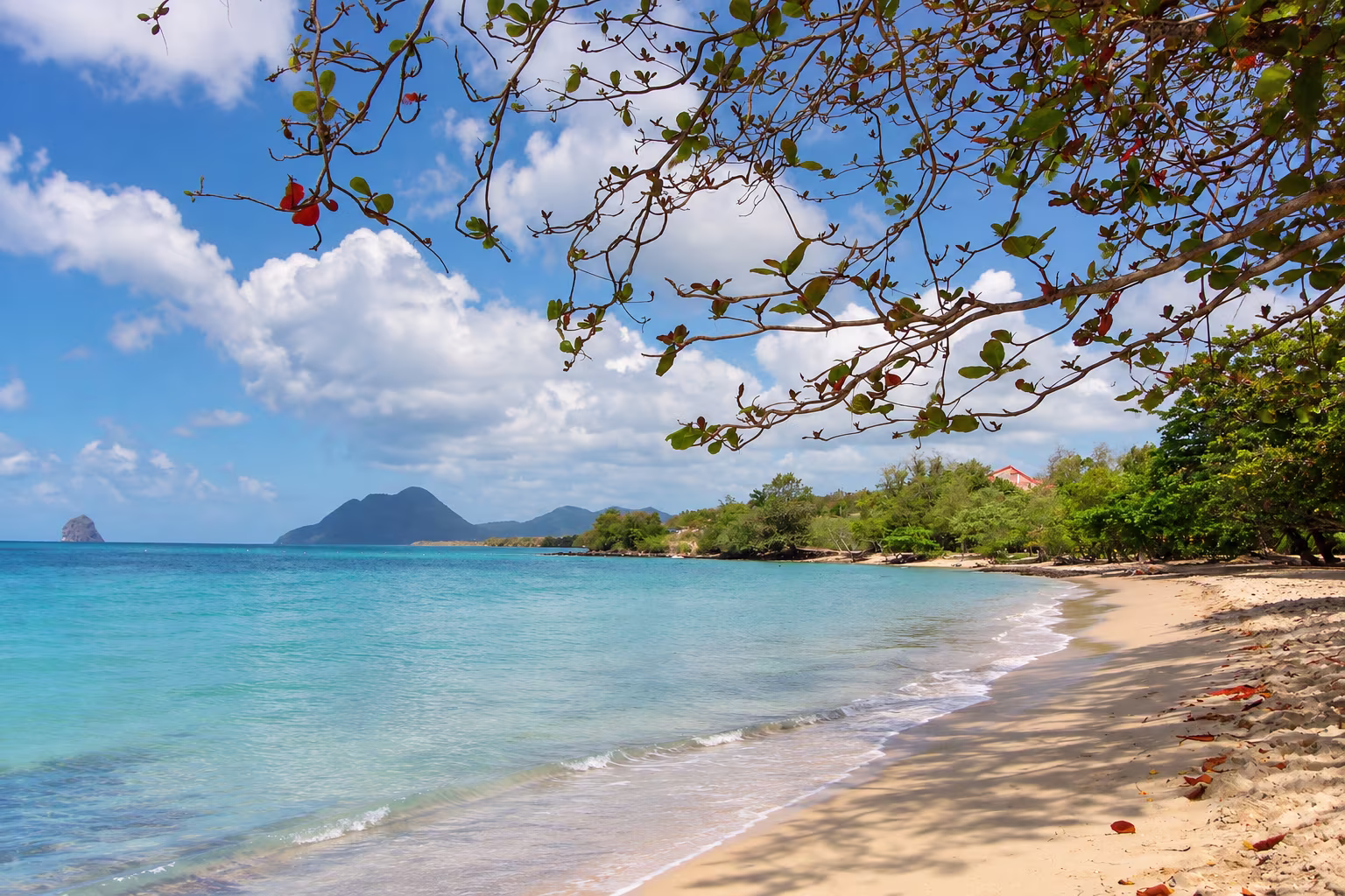Anse Mabouya Beach in Sainte-Luce