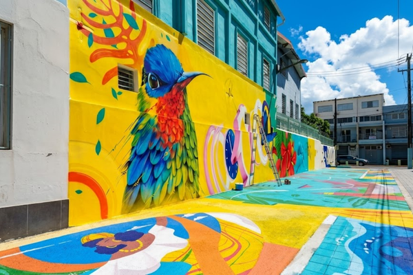 cite clarac fort de france rue coloree -600x400