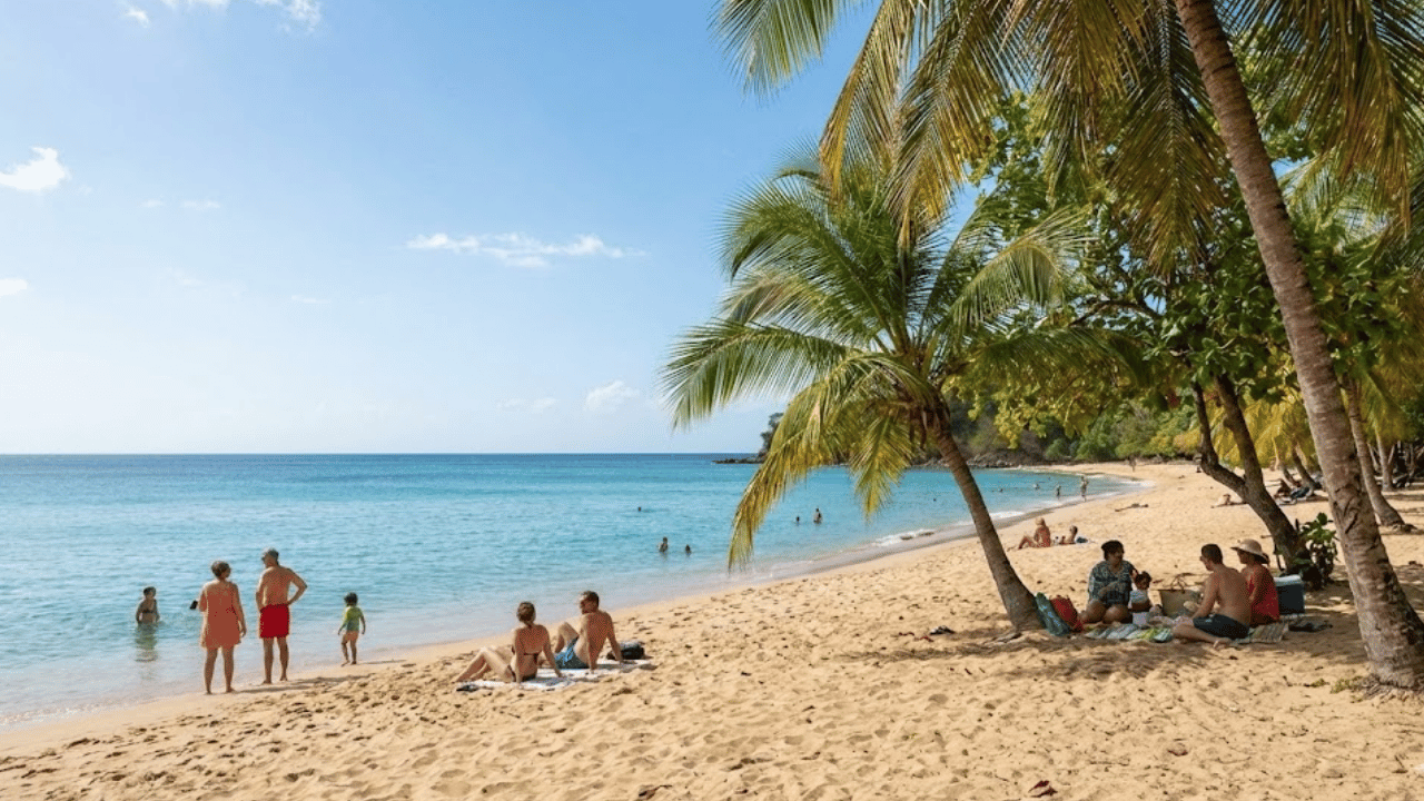 location de voiture martinique plage avril gemini pro1200x600