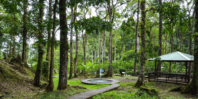 coeur bouliki saint joseph martinique