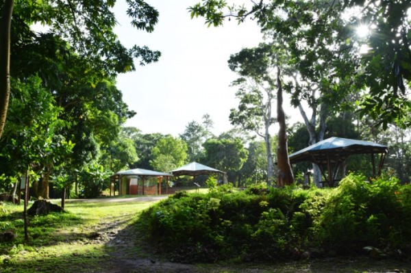 foret-montravail-martinique