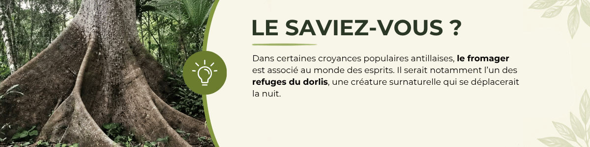 Le saviez-vous ?  Le fromager serait l’un des refuges du dorlis