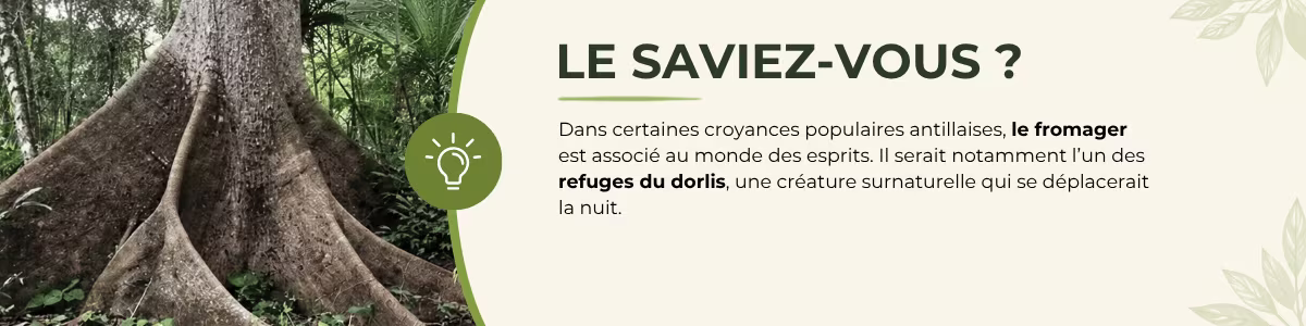 Le saviez-vous ? Le fromager serait l’un des refuges du dorlis