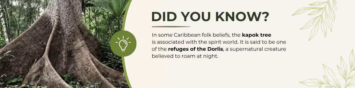 Did you know? Kapok tree is one of the refuges of the Dorlis