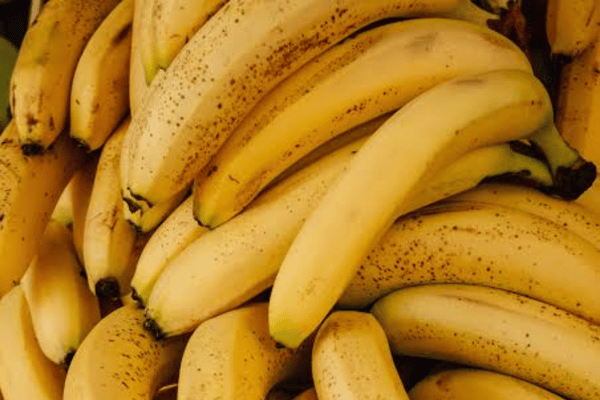 Bananas in Martinique