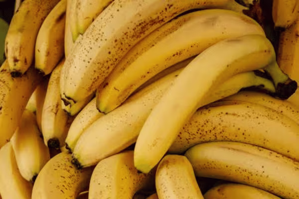 Bananas in Martinique