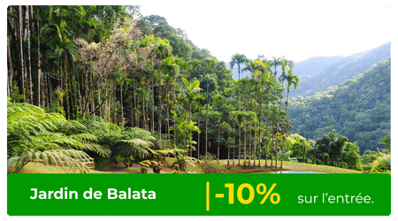 Jardin de balata réduction -10- europcar martinique