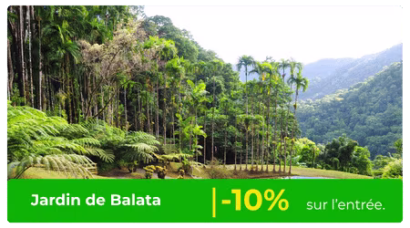 Jardin de balata réduction -10- europcar martinique