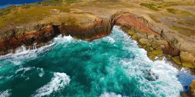 savane de petrification sainte-anne martinique