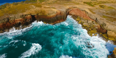 savane de petrification sainte-anne martinique