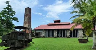The Sugar Cane House