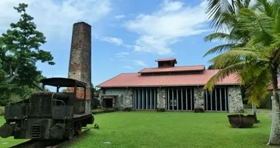 The Sugar Cane House