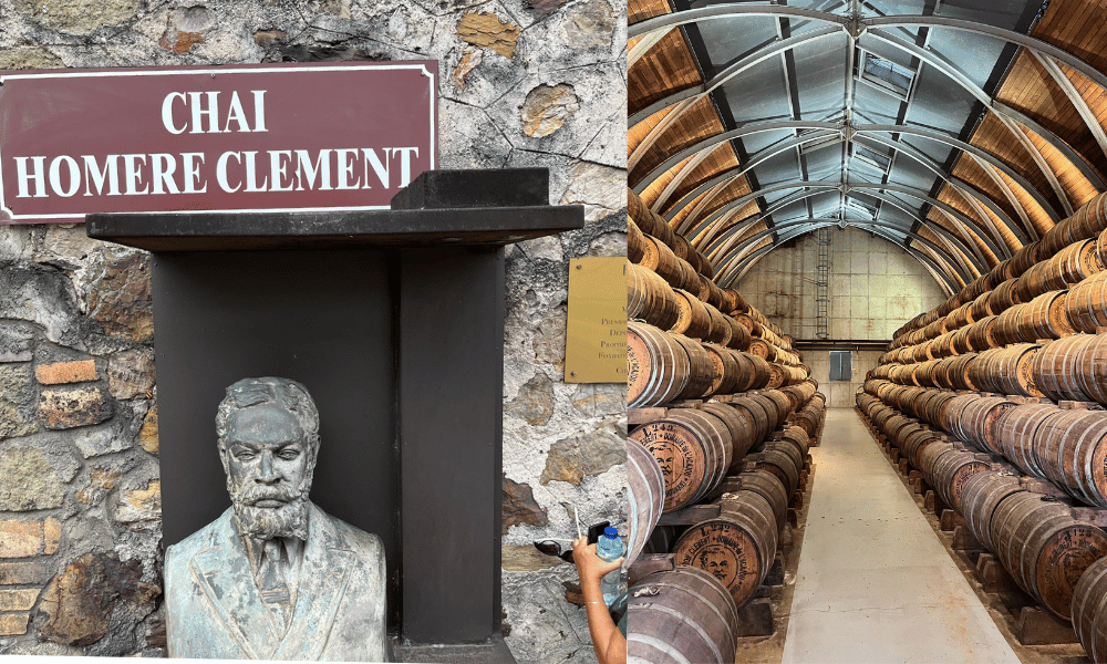 location voiture martinique fondation clement