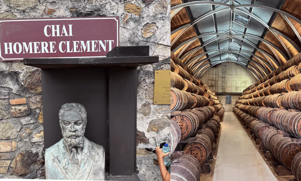 location voiture martinique fondation clement