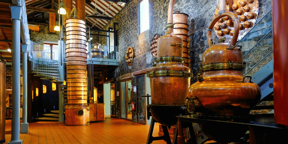 1200x600 la distillerie Saint-James