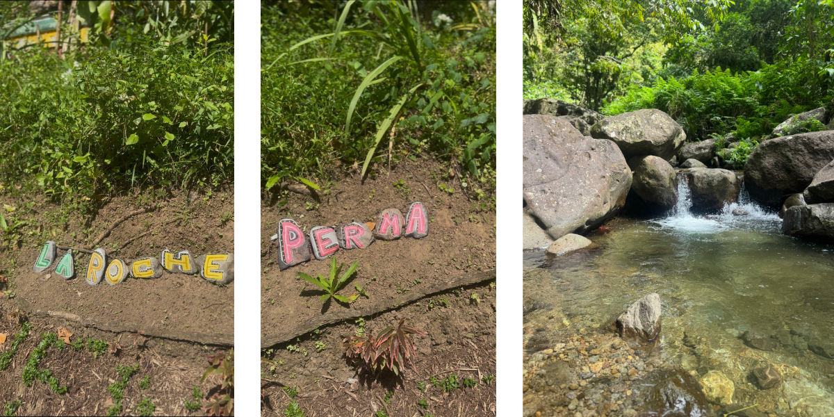 ferme la roche perma location voiture martinique 1200x600