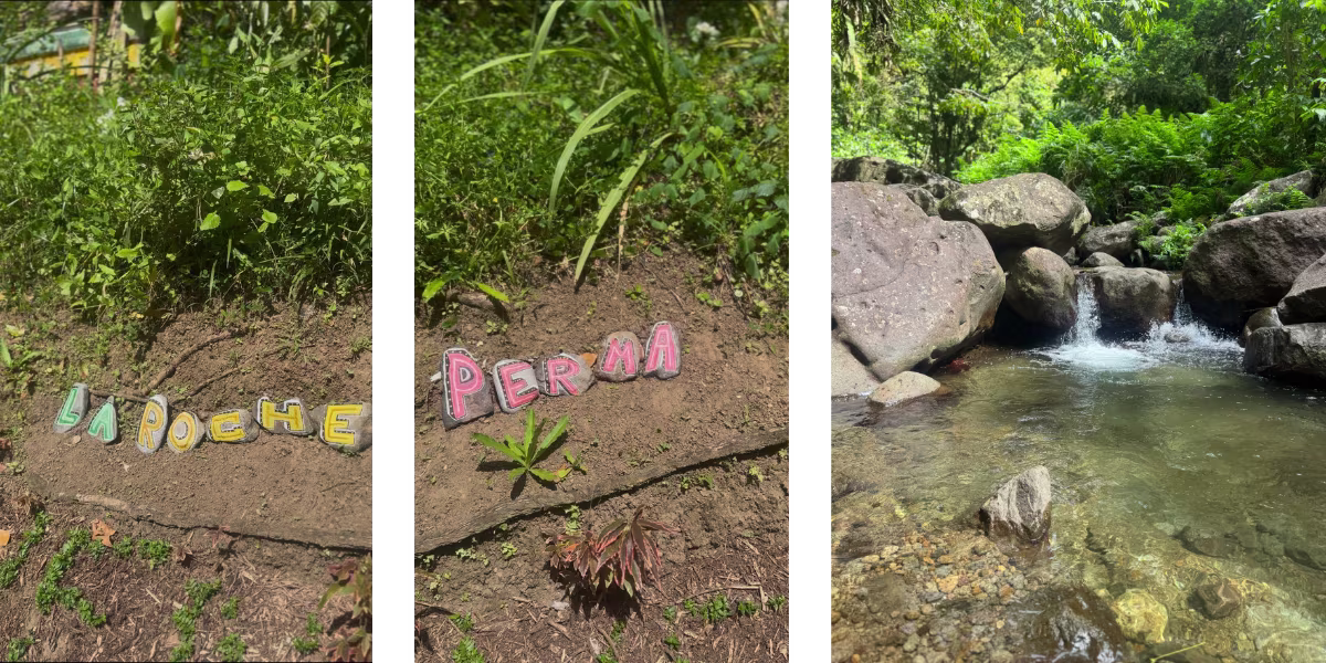 ferme la roche perma location voiture martinique 1200x600