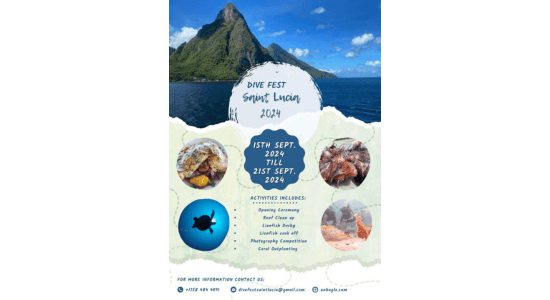 dive-fest-st-lucia