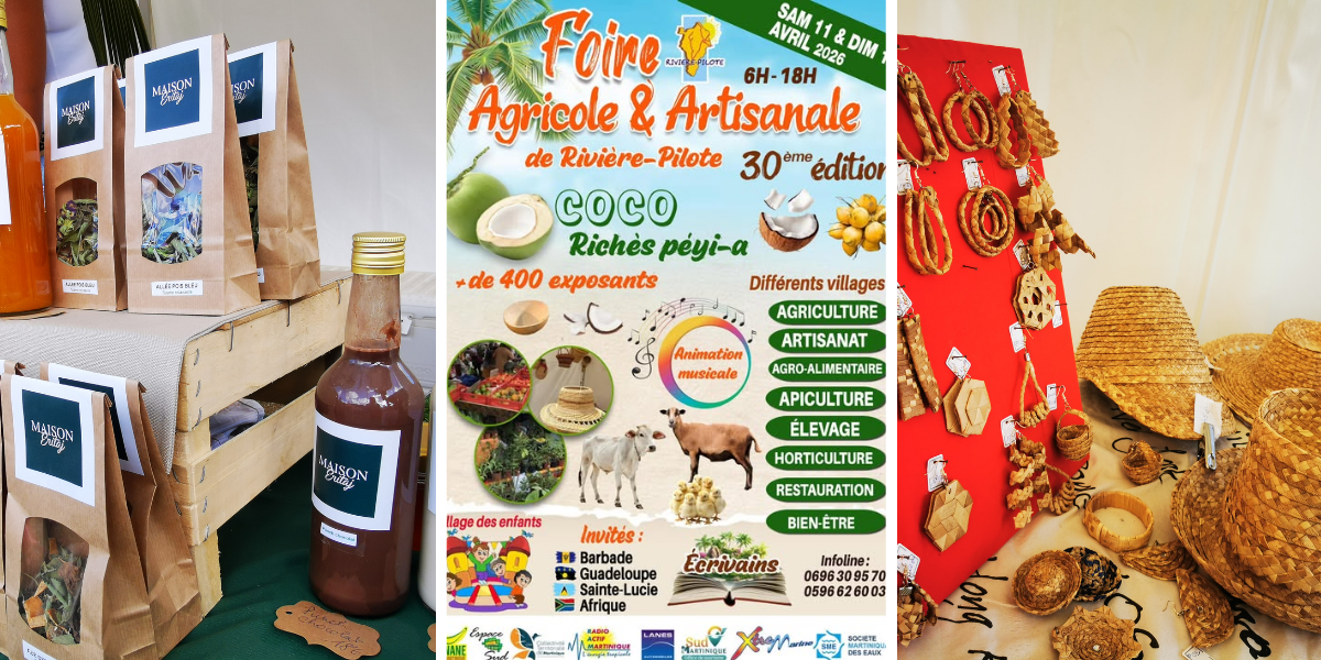 foire artisanal et agricole riviere pilote location voiture martinique 1200x600