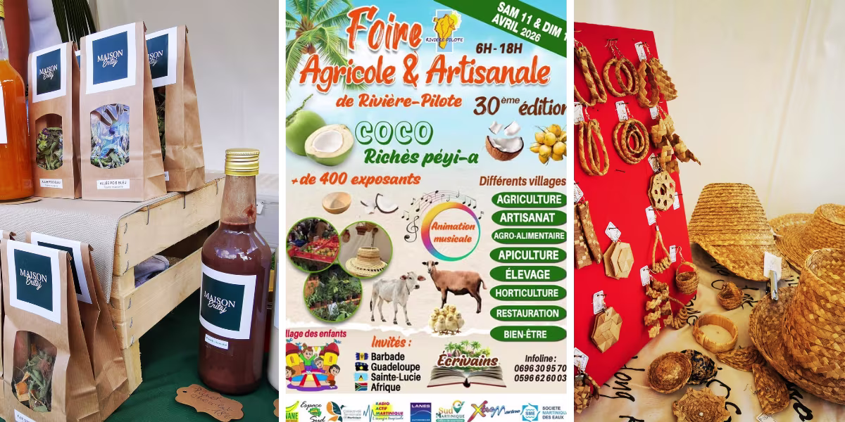 foire artisanal et agricole riviere pilote location voiture martinique 1200x600