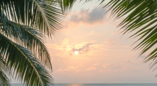 martinique-in-august