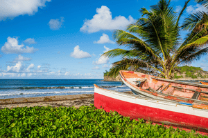 Experience the Yole Tour in Martinique