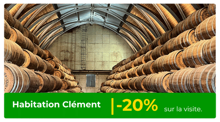 habitation clément remise partenaire