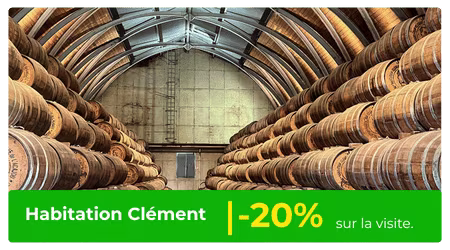 habitation clément remise partenaire