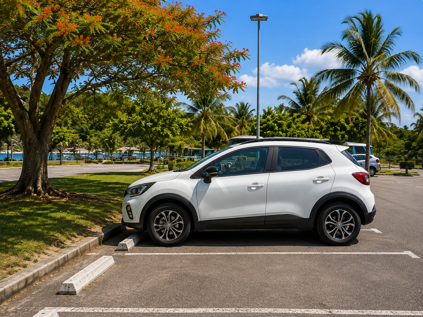 Choosing where to park your car in Martinique